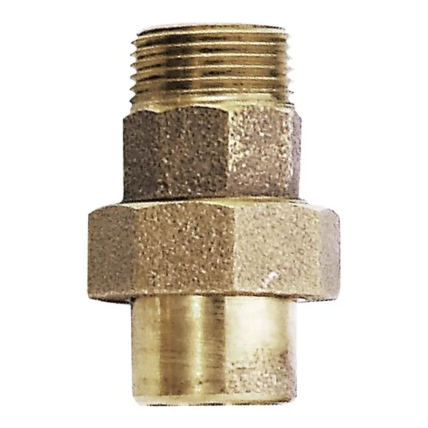 C x M cast union.webp